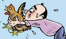 偷粽子的老鼠大盗