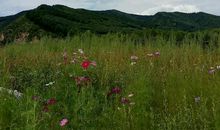 多彩的假期生活