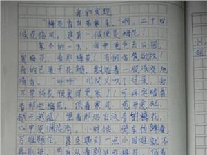 发明组成
