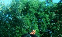 回头看，那人不曾走远