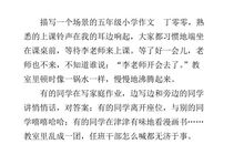 一次体验盲人作文