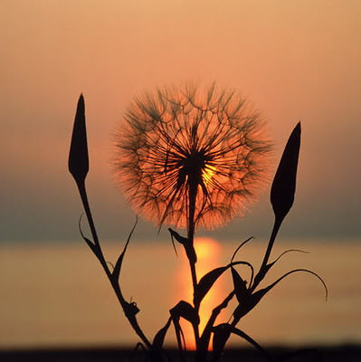 如果有这样的encounter