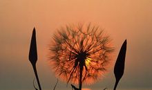 如果有那样一种遇见