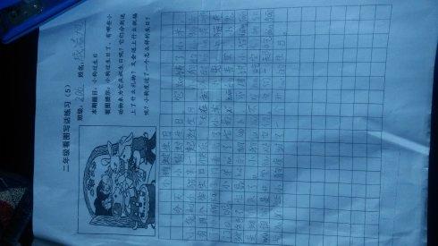 小狗的生日