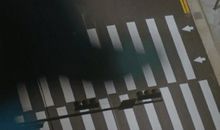 一夜之间我变了