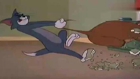 猫警长和小偷老鼠