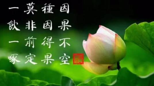 做人的原则