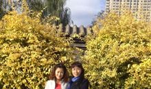 苦涩与清香的童真