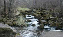 难忘的森林公园之旅