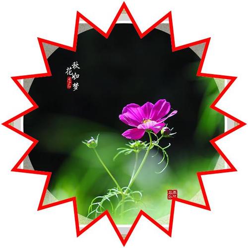 充满希望的走廊上到处都是鲜花