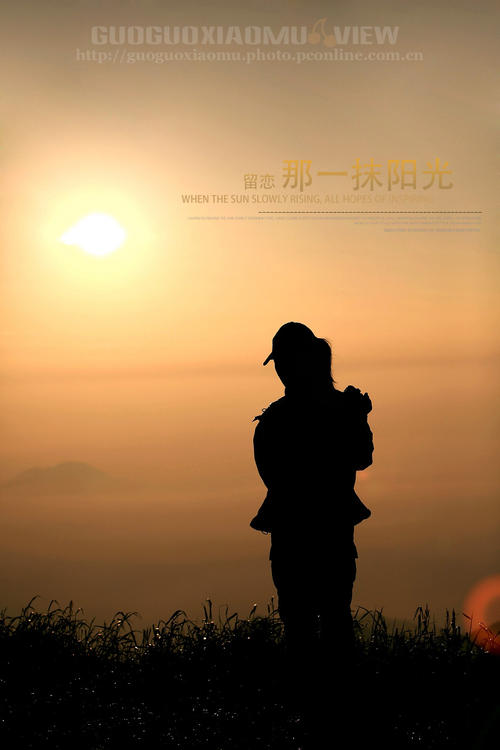 我心中的阳光