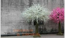 她和那本樱花书