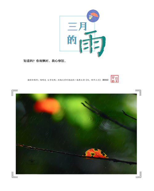 三月下雨