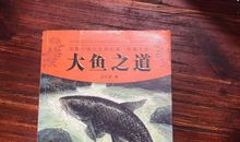 驯化诱雉读后感