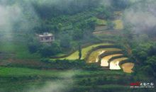 我家乡的万果山