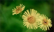 光阴款款行，岁月淡淡香