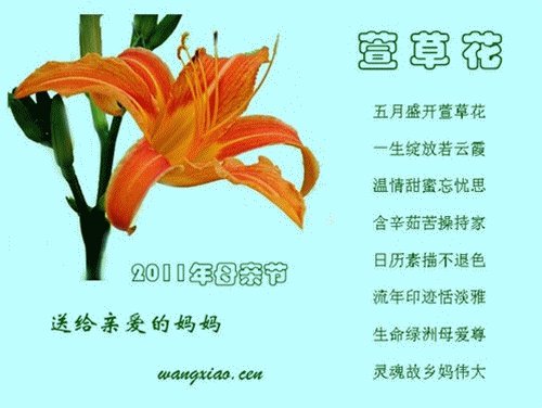 母爱