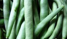 暑期实践作文：剥豆角_200字