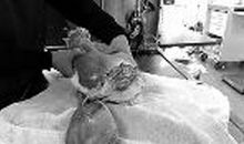 蚌鹬相争的故事