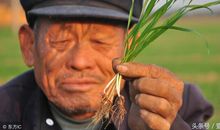 一位老人令我感动