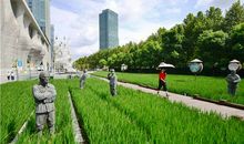 都市中的田园风光