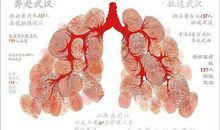 这样的人令我钦佩