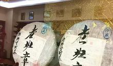 浮生若茶，与书相约