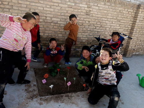 就这样我种下了种子