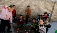 就这样，我种下一颗种子