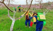 大自然中的朋友