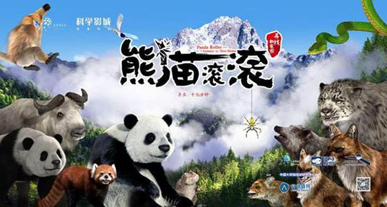 找新家
