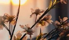 细品人生路上的真情