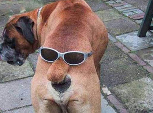 一张有趣的照片