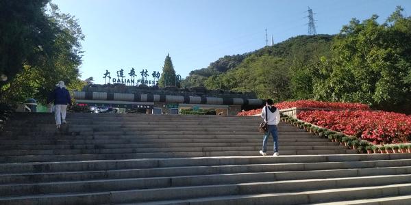 大连动物园旅行须知