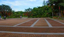 大沙河公园污水调查