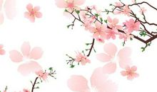 一小瓣桃花，一小片春天