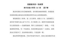 我最喜爱的一张邮票