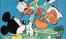 伐木工与啄木鸟