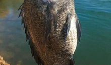 那一刻让我感动