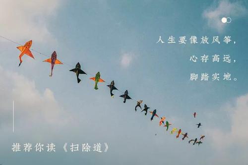 阅读后扫清思想