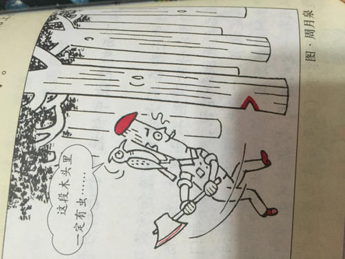 伐木工人和啄木鸟