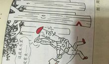 伐木工人和啄木鸟