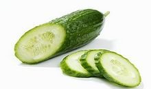 只要生长，没有什么不可以