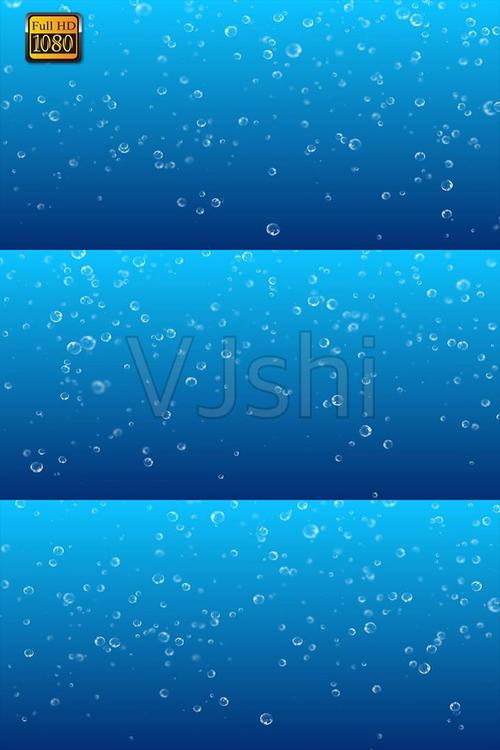 水中的世界