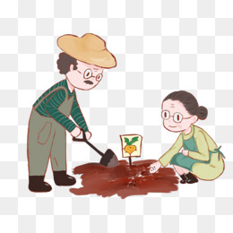 爷爷和我去种菜