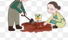 我和爷爷去种菜