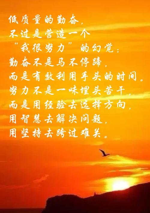 勤奋与坚持