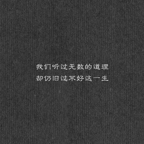 数真相