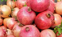 在分享中收获快乐