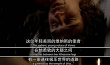 我的“蜕变史”